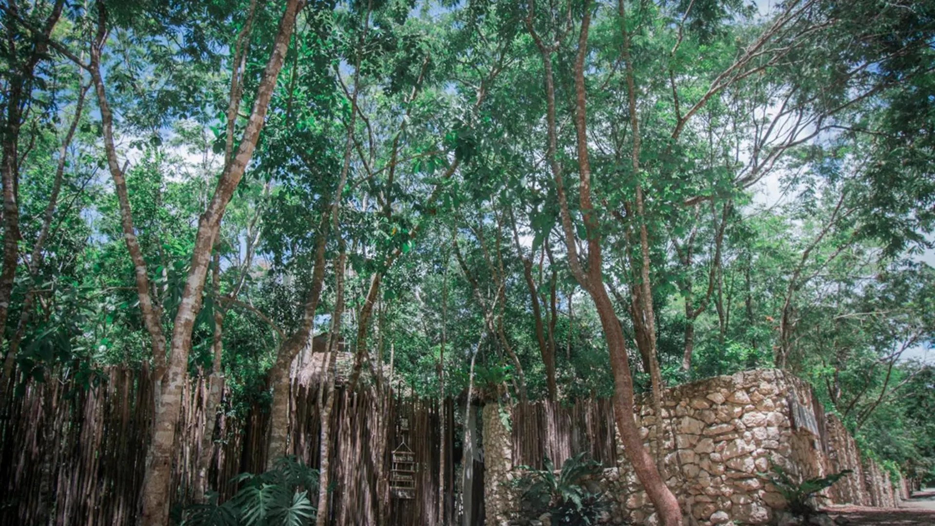 Villa Pepem Holistic Experience - Peaceful Retreat Near Tulum (Adults Only)