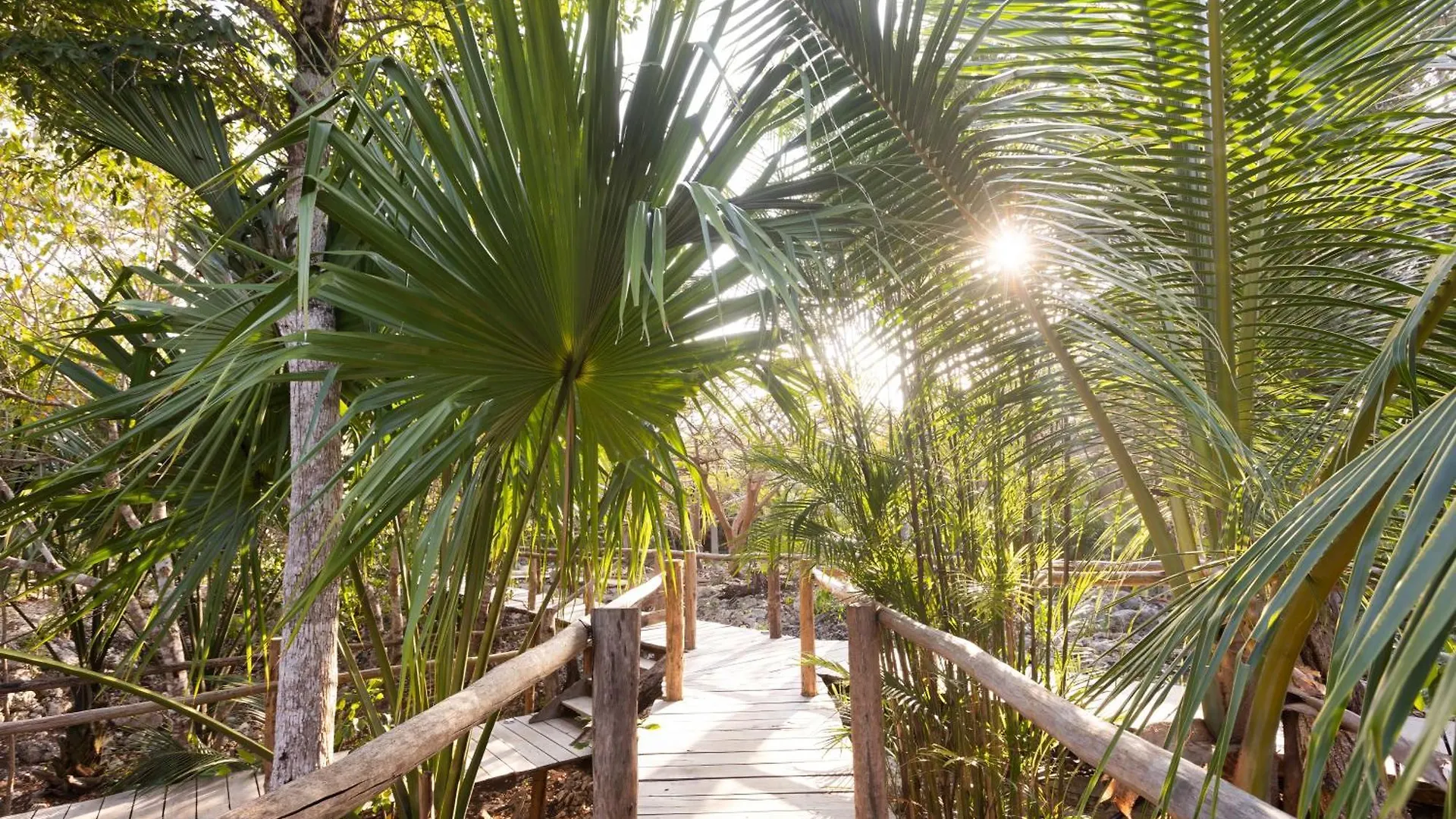 Villa Pepem Holistic Experience - Peaceful Retreat Near Tulum (Adults Only)